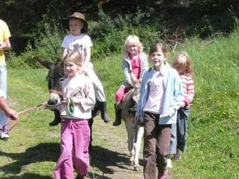 Hostal Gasthof Auwirt