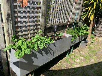 Apartamento Hosts On The Coast Couple Cabana