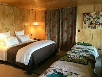 The Camel At Araiawa Raio Lodge Pukenui