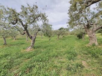 Apartamento Casa Salamastra Immersa Nel Verde A Soli 5minuti Dal Mare
