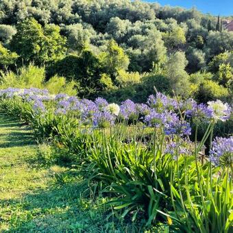 Apartamento Villa Barca - Luxury Vacation Rentals