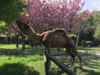 Apartamento Maison Atypique Et Charmante