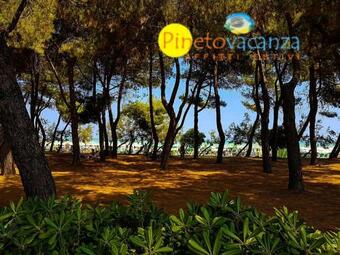 Apartamento Armonia Pineto Vacanza