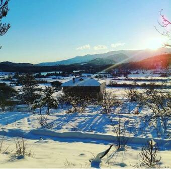 Hostal Bujtina Vila Dodo