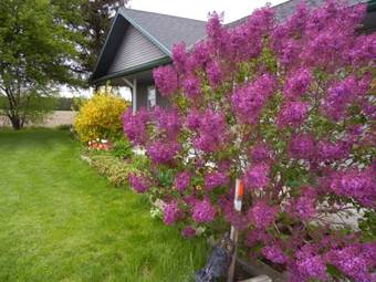 Duck Pond B&B Cottage