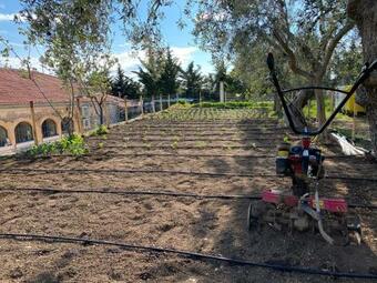 Ver fotos