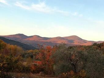 Podere Di Maggio - Canvas Tent Chestnut