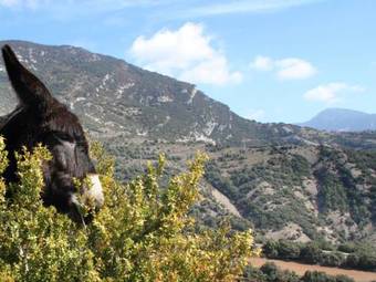 Lodge Holiday Home Espunyes Plata Cambrils