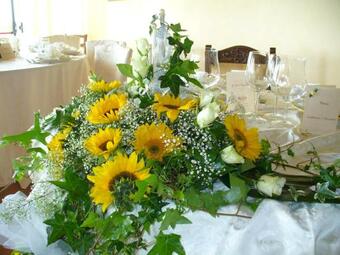 Agroturismo Agriturismo La Casella