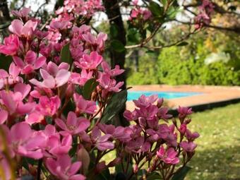 Villa Etnasicily, Private Pool And Garden