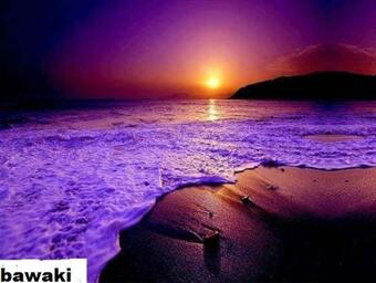 Hotel Bawaki Beach Resort