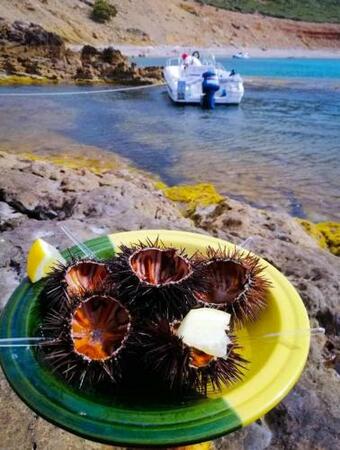 Apartamento Studio Yakinaa