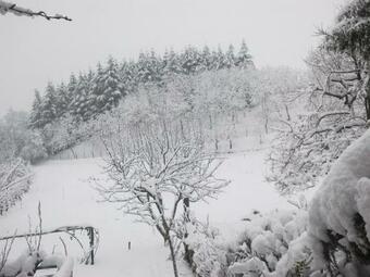 Apartamento Casarogantino