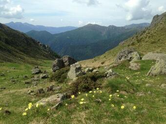 Apartamento Il Bosco In Casa