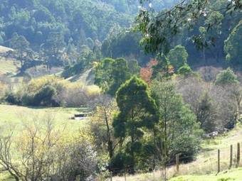 Lodge Toorongo River Chalets