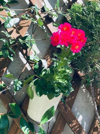 Apartamento Il Borghetto Di Torno