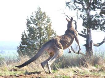 Bulwarra Bed & Breakfast