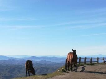 &hearts️ Ferienhaus Ca Piero Mit Pool Bis 12 Personen &hearts️