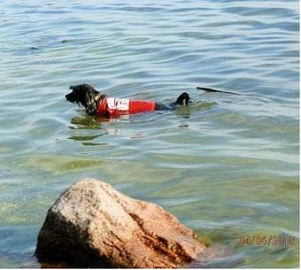 Apartamentos Capitano