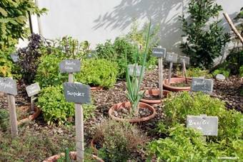 Hotel H�tel Savoie Leman