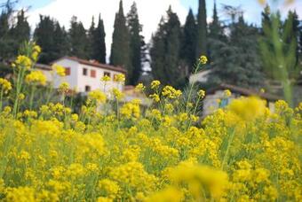 Apartamento Appartamento Giulio