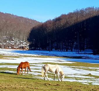 Apartamento Casa Rosa