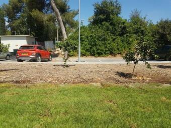 Apartamento ???? ???? ?????? ?????