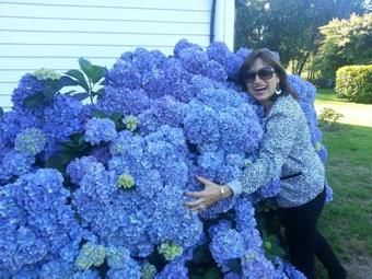 Caba�as Patagonia Paraiso