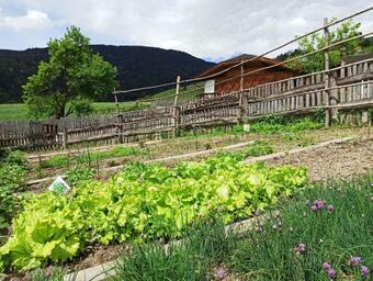 Apartamento App Plose Winklerhof