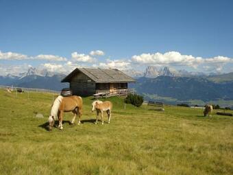 Apartamento Tsch�rlerhof