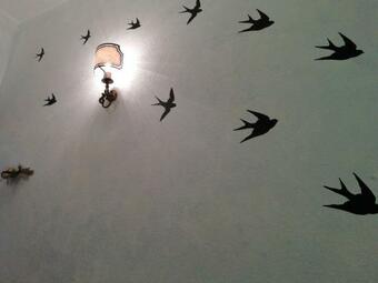 Bed & Breakfast Cit Ni