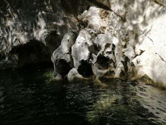 Acquaria