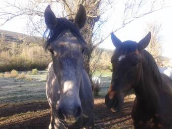 Casa Rural El Nido Azul