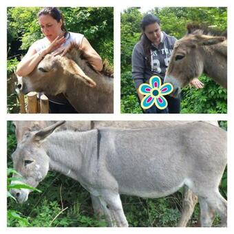 Agroturismo Agriturismo Grilla