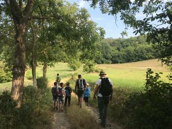 Hostal Casa Guatelli Guest House