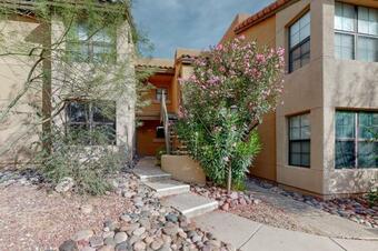 Top Of The Foothills