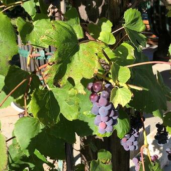 Apartamento Am Weinberg 140