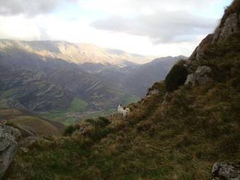 Apartamentos La Regoria