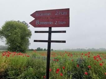 Apartment Waldblick Vom Naturhof Usedom