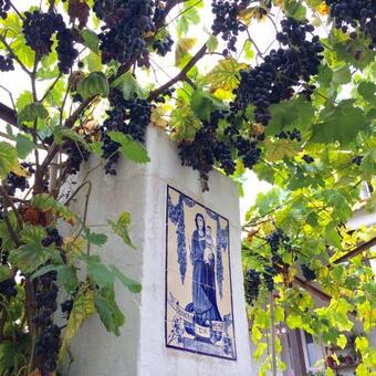 Casa Do Pa�o Aveiro