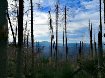 Ferienhaus-schachtenbach-i