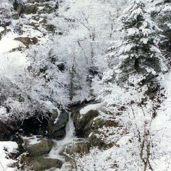 Aparthotel Villa Kastanodasos