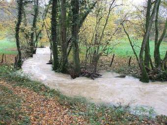 Bed & Breakfast La Ferme De Montard