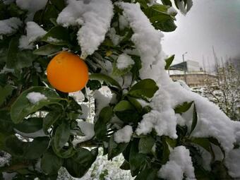 Casa Largo S. Louren�o