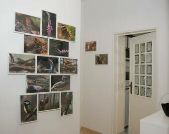 Ver fotos