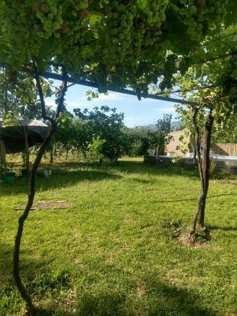 Los Algarrobos