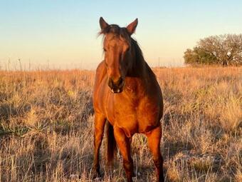 Virginias Rv Spots - Power And Water Only Rv Spot, No Rv Included