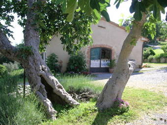 Agroturismo Bellavista