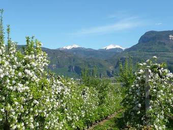 Aparthotel Hotel Panorama