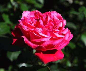 Bed & Breakfast Le Bois Des Pierres